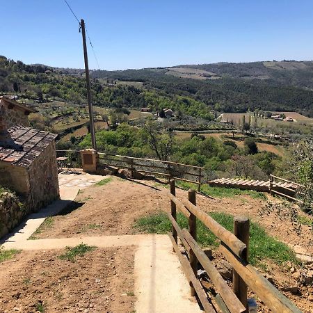 Podere Soccorso Casa Vigneto Μονταλτσίνο Εξωτερικό φωτογραφία