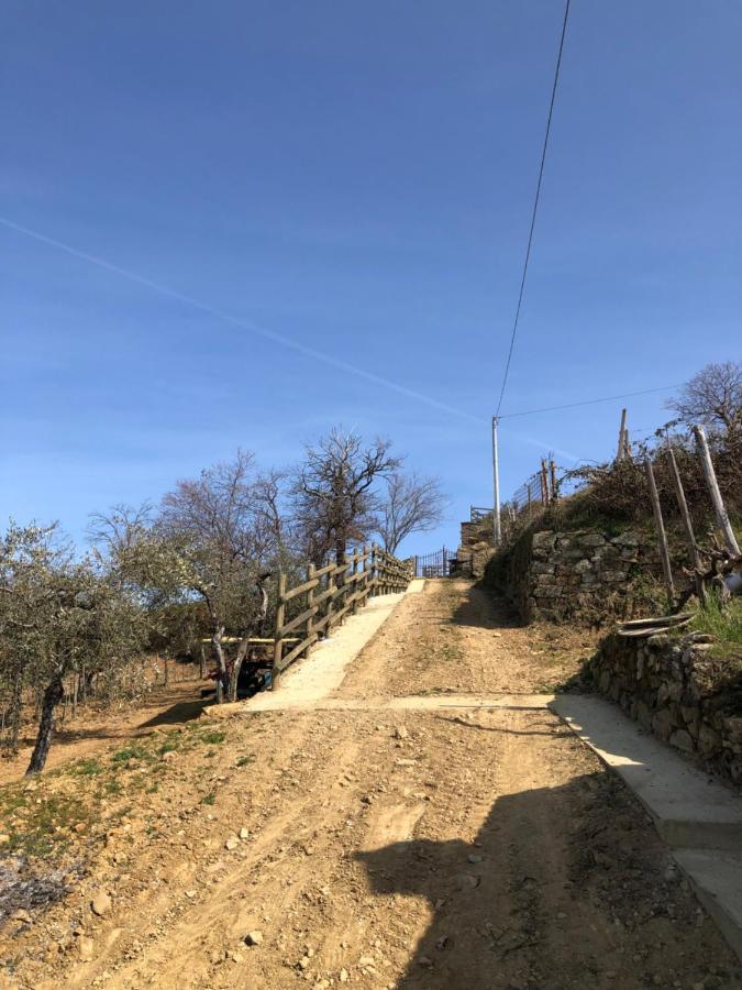 Podere Soccorso Casa Vigneto Μονταλτσίνο Εξωτερικό φωτογραφία