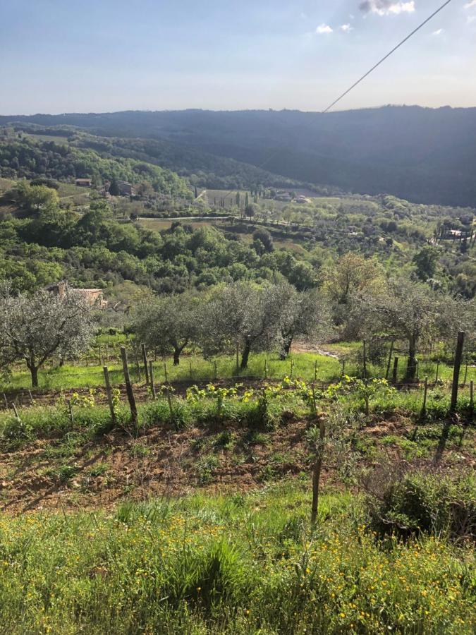 Podere Soccorso Casa Vigneto Μονταλτσίνο Εξωτερικό φωτογραφία