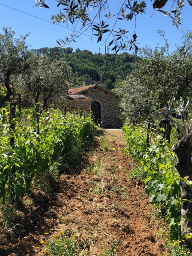 Podere Soccorso Casa Vigneto Μονταλτσίνο Εξωτερικό φωτογραφία